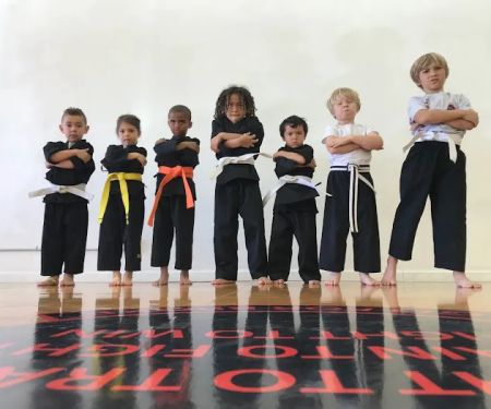 James Martial Arts Academy