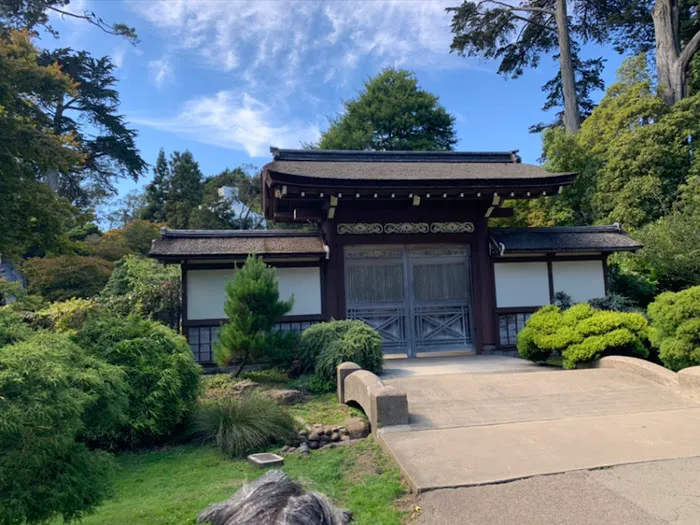 James Martial Arts Academy Picture 2