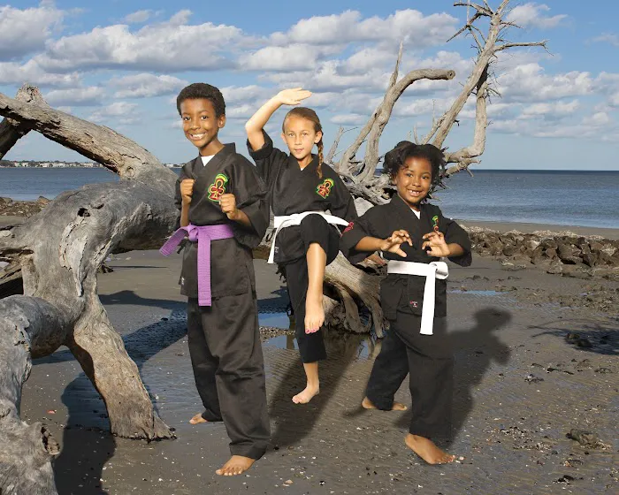 James Martial Arts Academy Picture 10