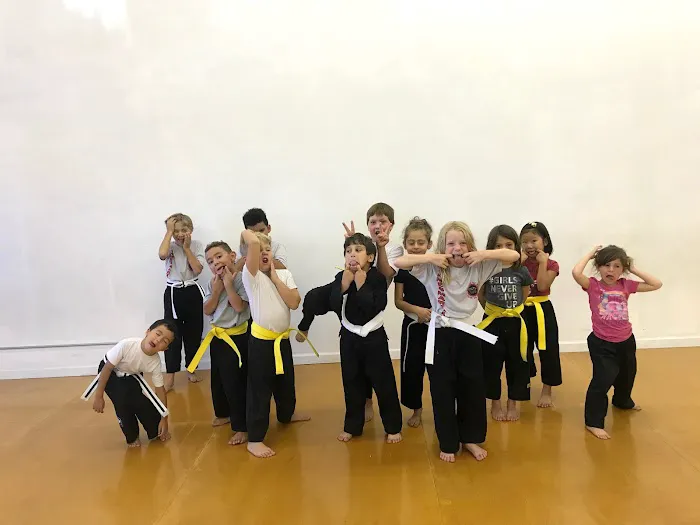 James Martial Arts Academy Picture 8