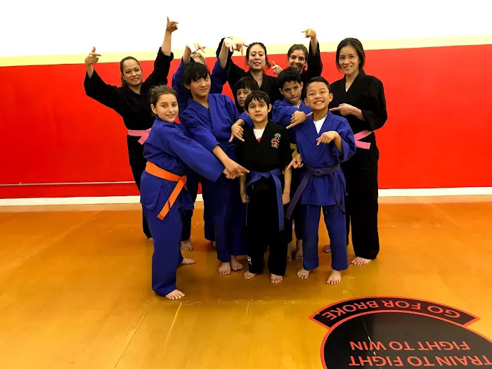 James Martial Arts Academy Picture 7