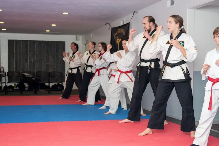 Firm Foundation Martial Arts Picture 3