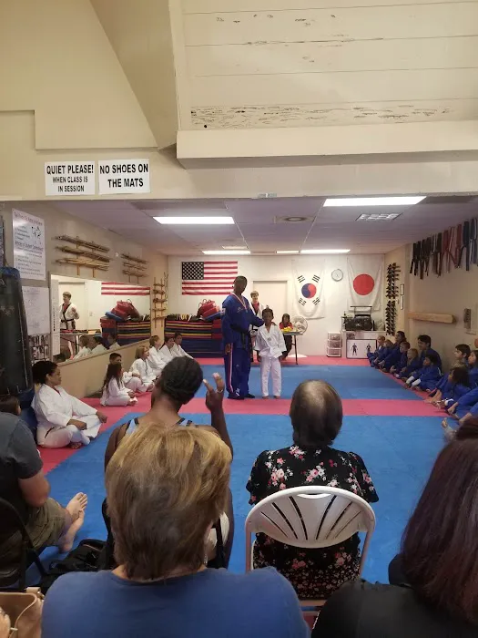 Wang Ho Taekwondo Picture 4