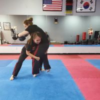 Dynasty Martial Arts ico