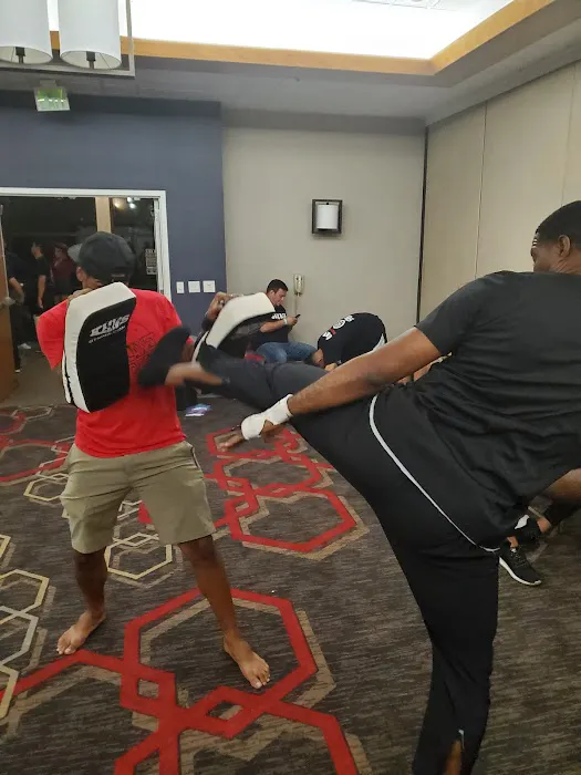 Dynasty Martial Arts Picture 7