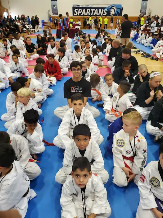 Dynasty Martial Arts Picture 9