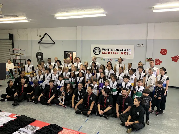 White Dragon Martial Arts - La Mesa Picture 5