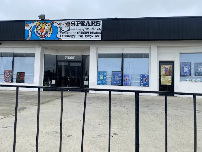 Spears Taekwondo Academy Picture 6