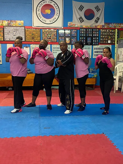 Spears Taekwondo Academy Picture 4