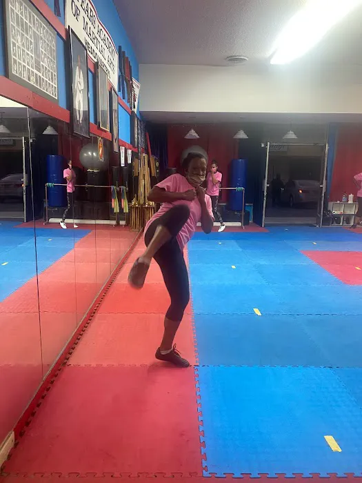 Spears Taekwondo Academy Picture 8