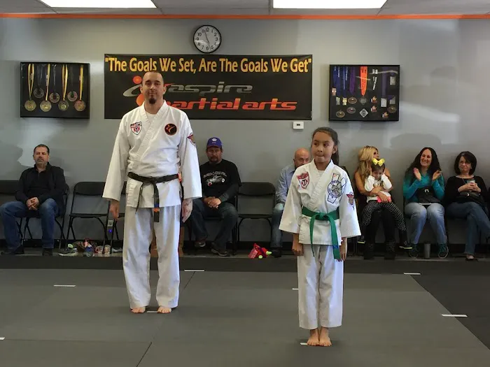 Aspire Martial Arts Picture 5