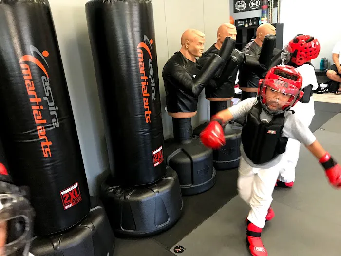 Aspire Martial Arts Picture 3