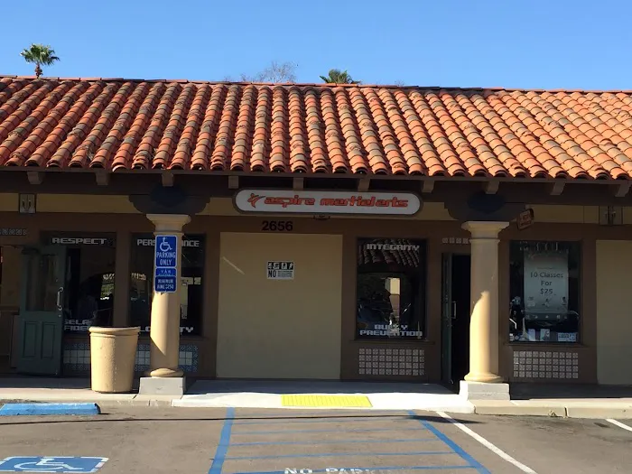 Aspire Martial Arts Picture 4