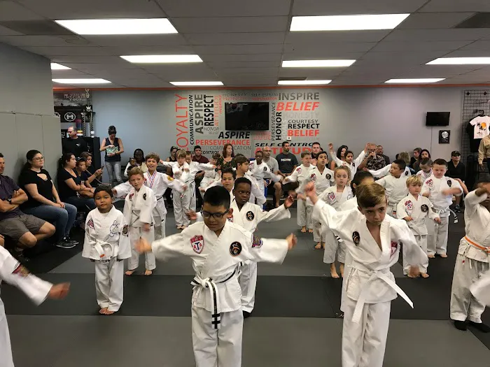 Aspire Martial Arts Picture 10