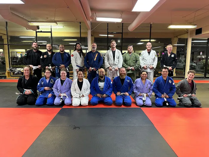 Kiyoshi Lim Kenpo Karate & BJJ Picture 9