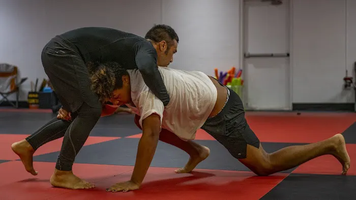 Kiyoshi Lim Kenpo Karate & BJJ Picture 3