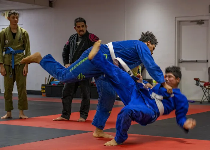 Kiyoshi Lim Kenpo Karate & BJJ Picture 4