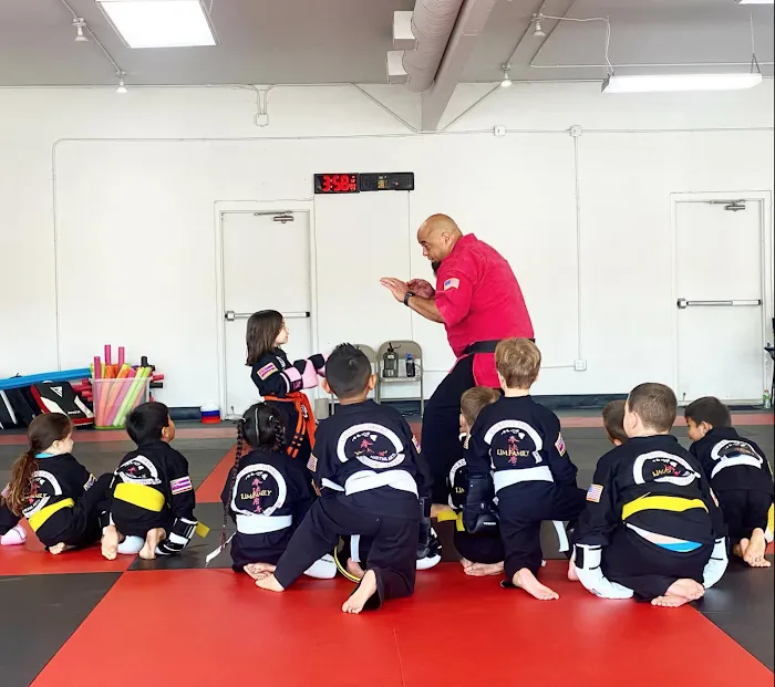 Kiyoshi Lim Kenpo Karate & BJJ Picture 10