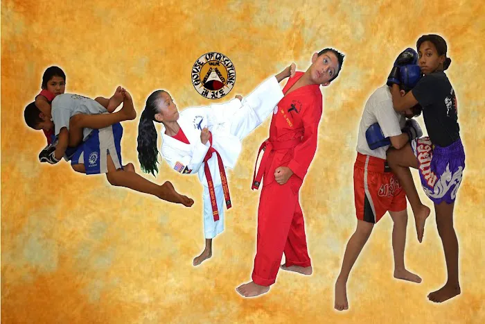 House of Discipline Picture 5