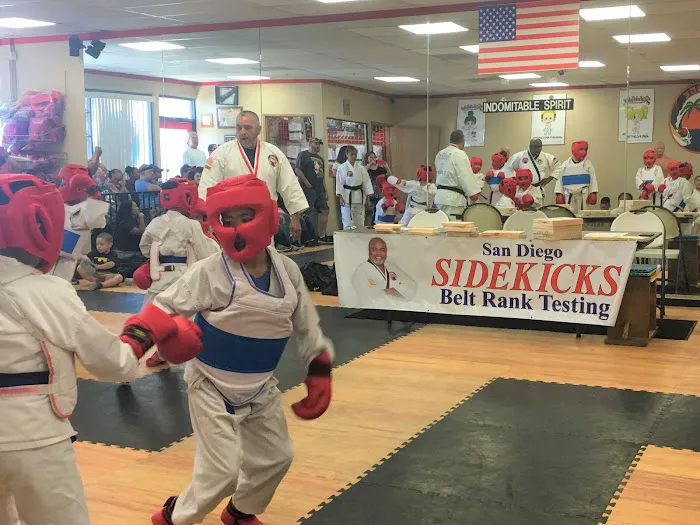 Sidekicks Martial Arts Academy Picture 2