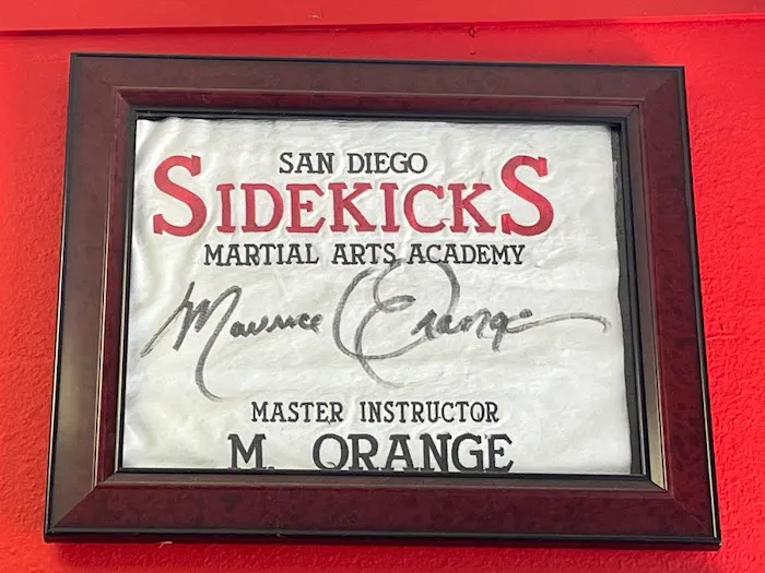 Sidekicks Martial Arts Academy Picture 7