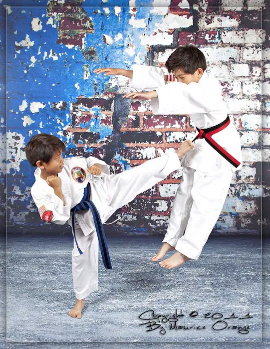 Sidekicks Martial Arts Academy Picture 4