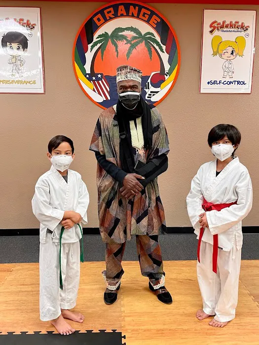 Sidekicks Martial Arts Academy Picture 8