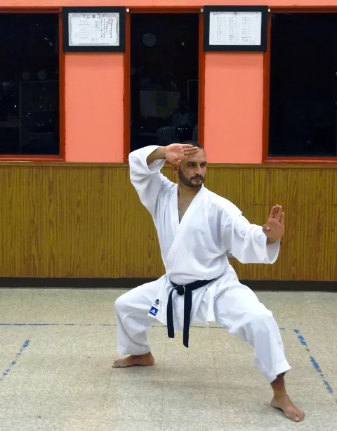Casa del Sol, Karate-Do / Self-Defense / Martial Arts Picture 3