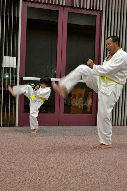 Casa del Sol, Karate-Do / Self-Defense / Martial Arts Picture 8