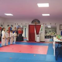 Magic's School Tae Kwon Do ico