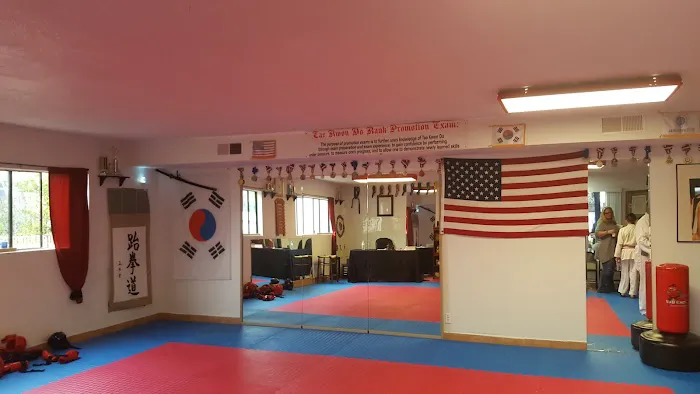 Magic's School Tae Kwon Do Picture 5