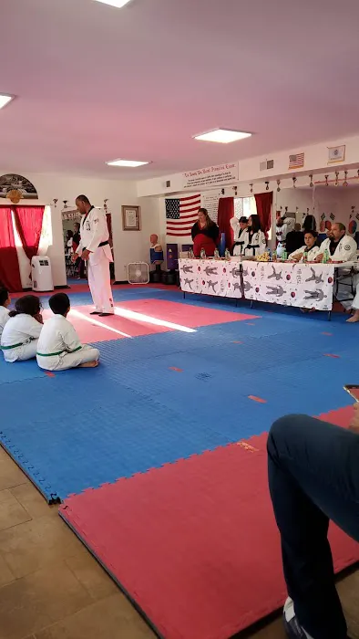 Magic's School Tae Kwon Do Picture 2