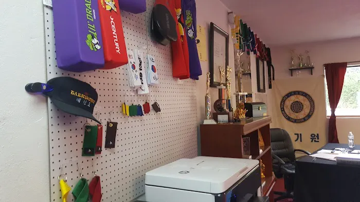 Magic's School Tae Kwon Do Picture 3