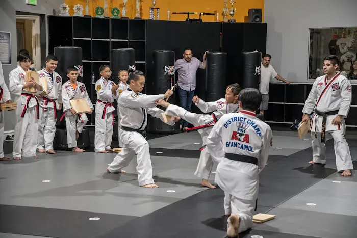 Pride Martial Arts Picture 2