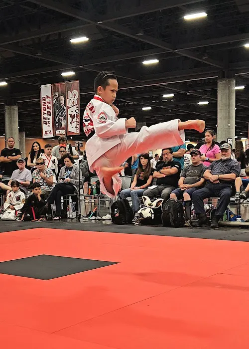 Pride Martial Arts Picture 1