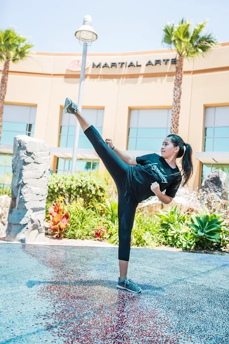 Pride Martial Arts Picture 7