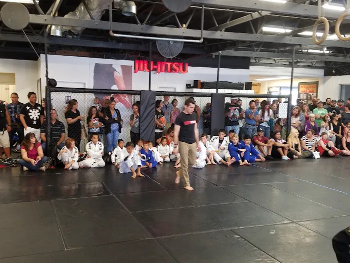 AKA (American Kickboxing Academy) - Muay Thai, Taekwondo, Jiu-Jitsu, MMA & Boxing Picture 3