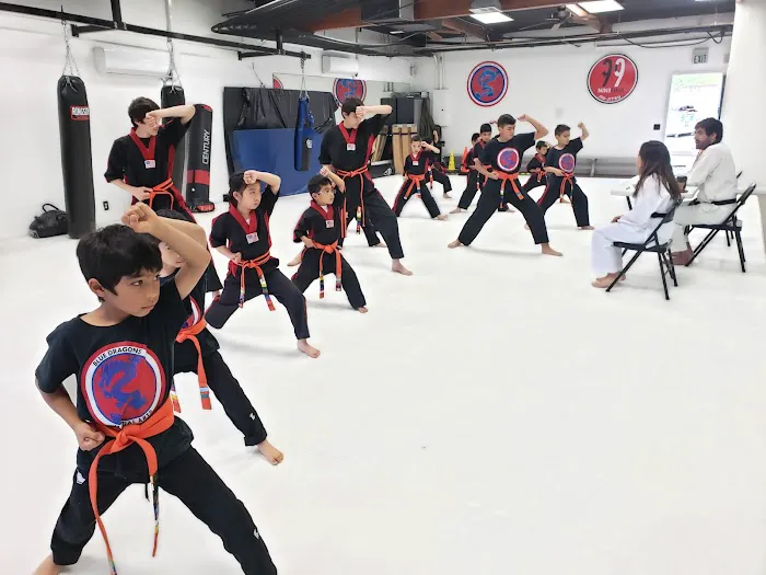 AKA (American Kickboxing Academy) - Muay Thai, Taekwondo, Jiu-Jitsu, MMA & Boxing Picture 5