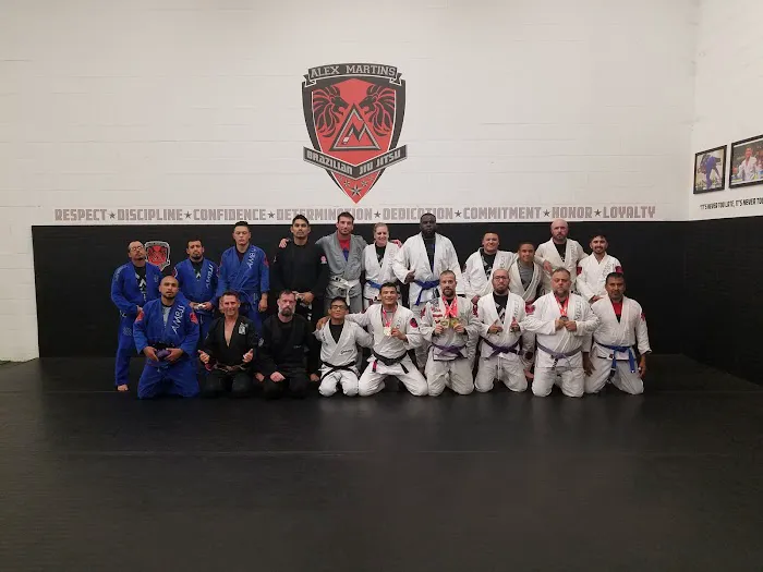 AKA (American Kickboxing Academy) - Muay Thai, Taekwondo, Jiu-Jitsu, MMA & Boxing Picture 10