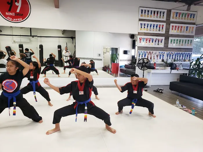 AKA (American Kickboxing Academy) - Muay Thai, Taekwondo, Jiu-Jitsu, MMA & Boxing Picture 9