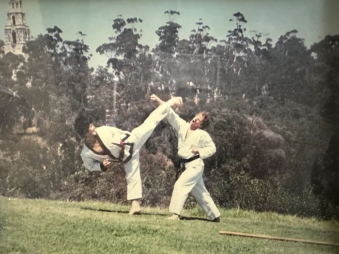 Kwon's Blackbelt Academy -Tae Kwon Do and Tang Soo Do in Chula Vista Picture 2