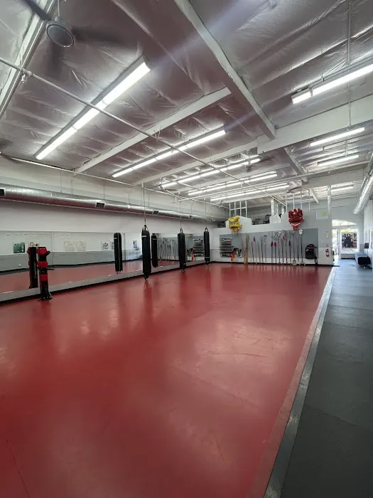 White Dragon Martial Arts - Chula Vista Picture 3