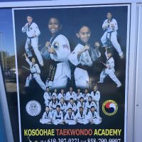 KOSOOHAE TAEKWONDO ACADEMY ico