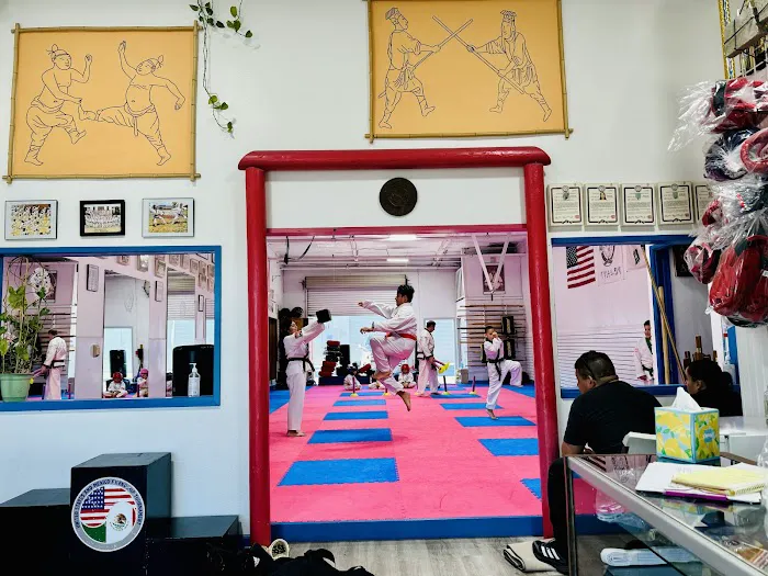 Tang Soo Do Picture 4