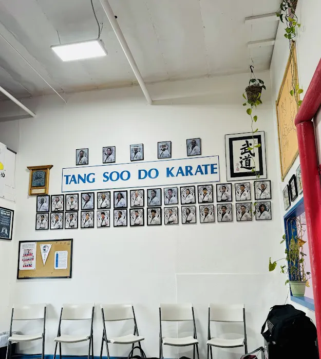 Tang Soo Do Picture 5