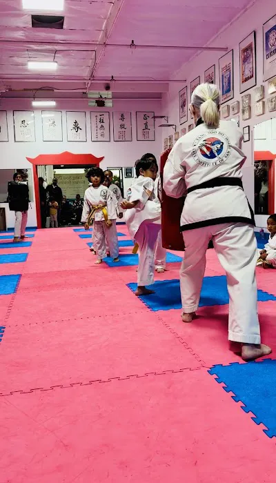 Tang Soo Do Picture 8