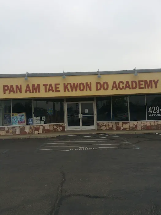 Pan Am Tae Kwon Do Academy Picture 4