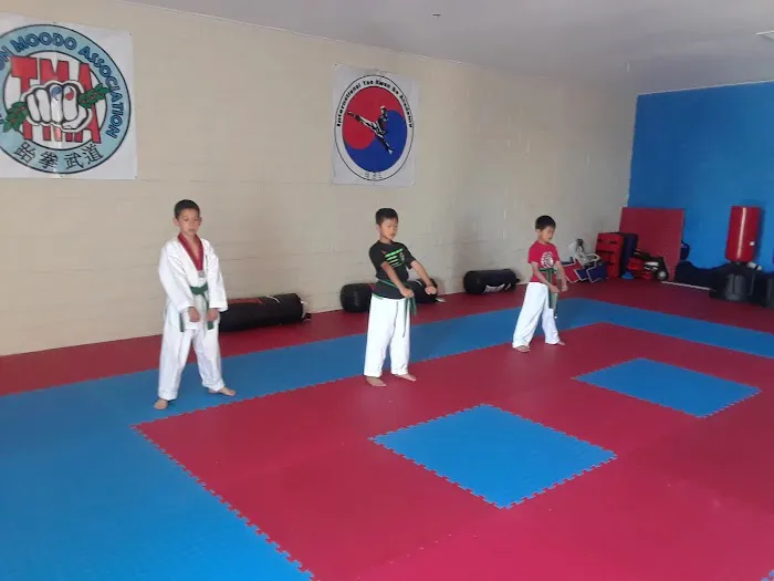 International Taekwondo Academy Picture 3