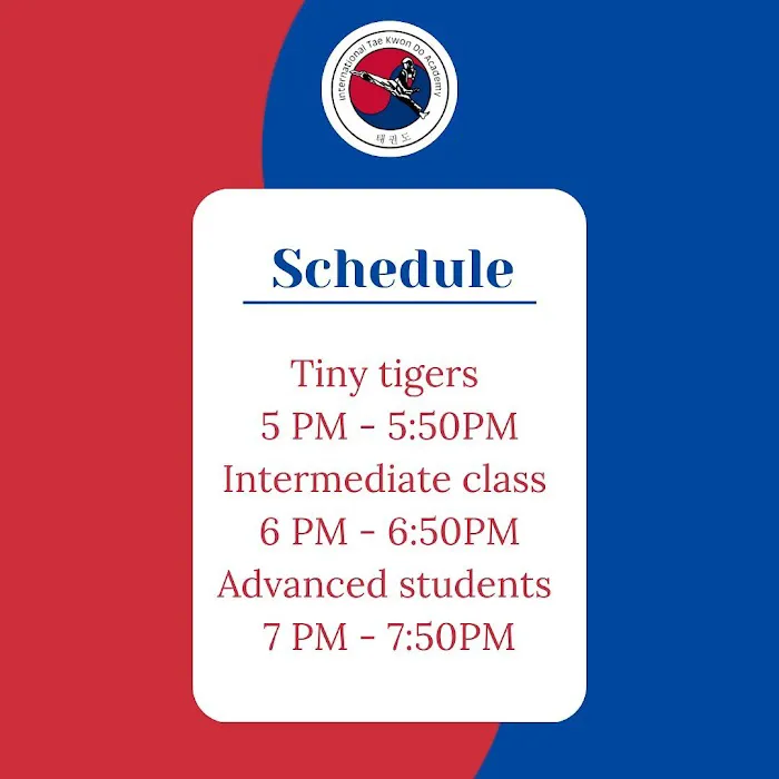 International Taekwondo Academy Picture 4