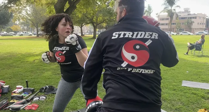 Strider Self Defense Picture 1